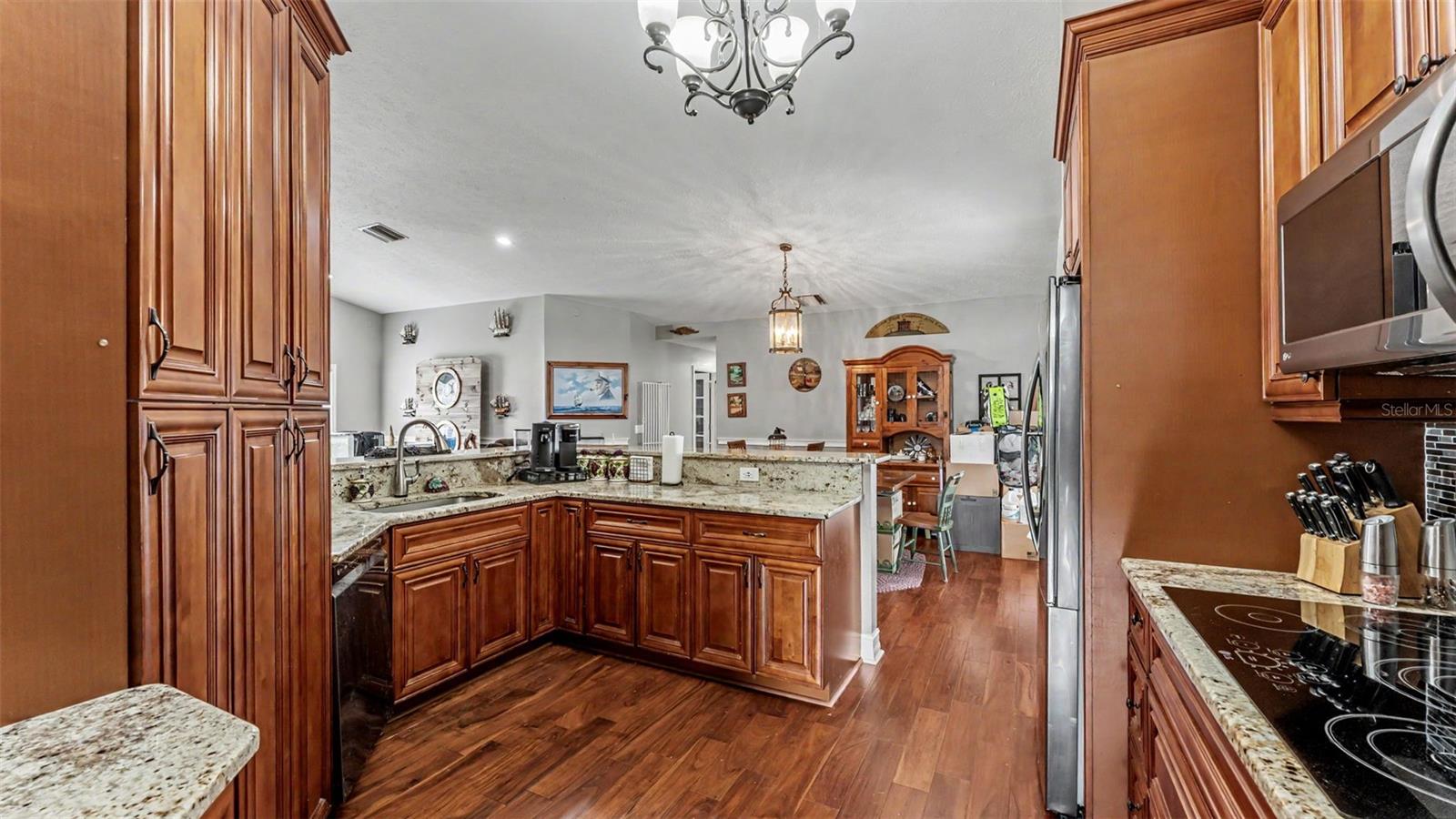 36225 OAK KNOLL LOOP, DADE CITY, FL, 33525