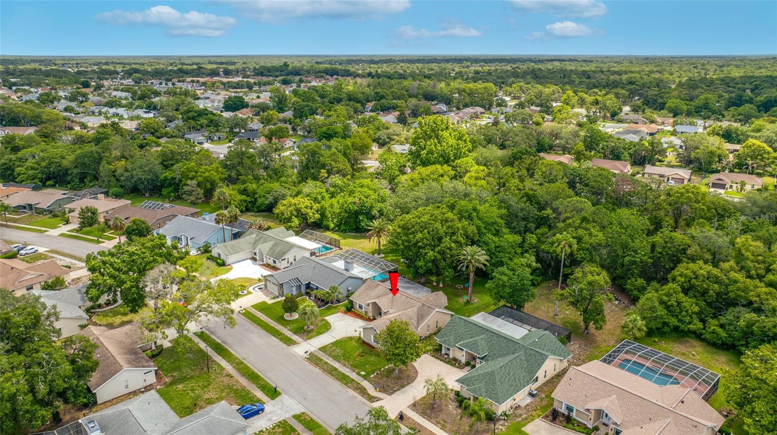8741 BRAXTON DR, HUDSON, FL, 34667
