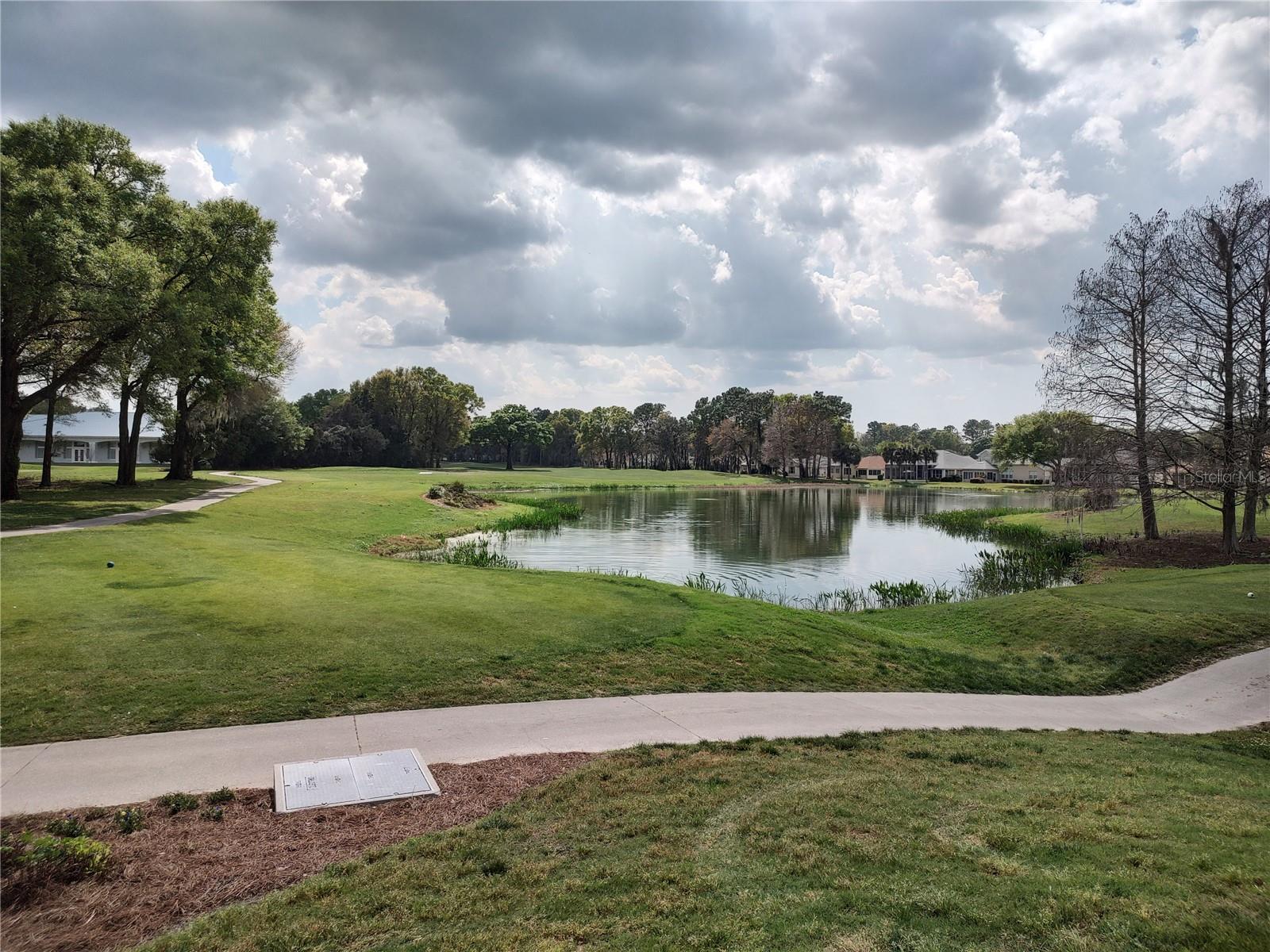 11440 SW 84TH AVENUE RD, OCALA, FL, 34481