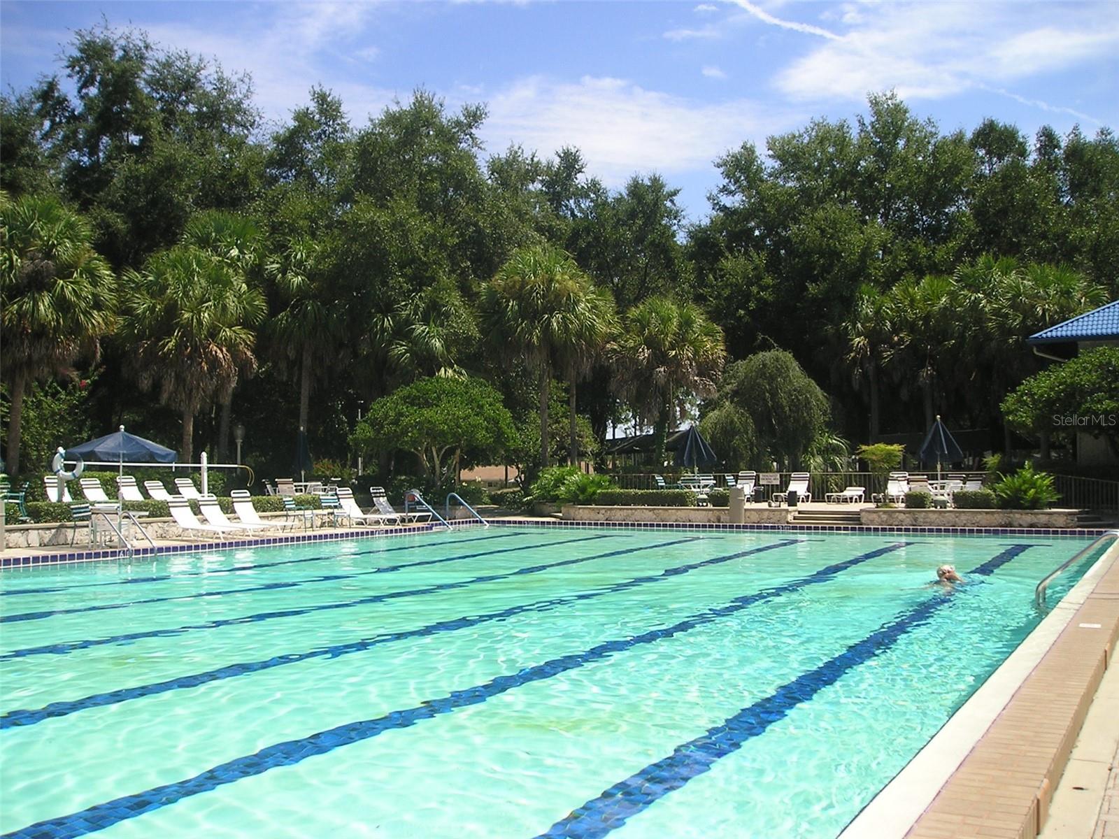 11440 SW 84TH AVENUE RD, OCALA, FL, 34481