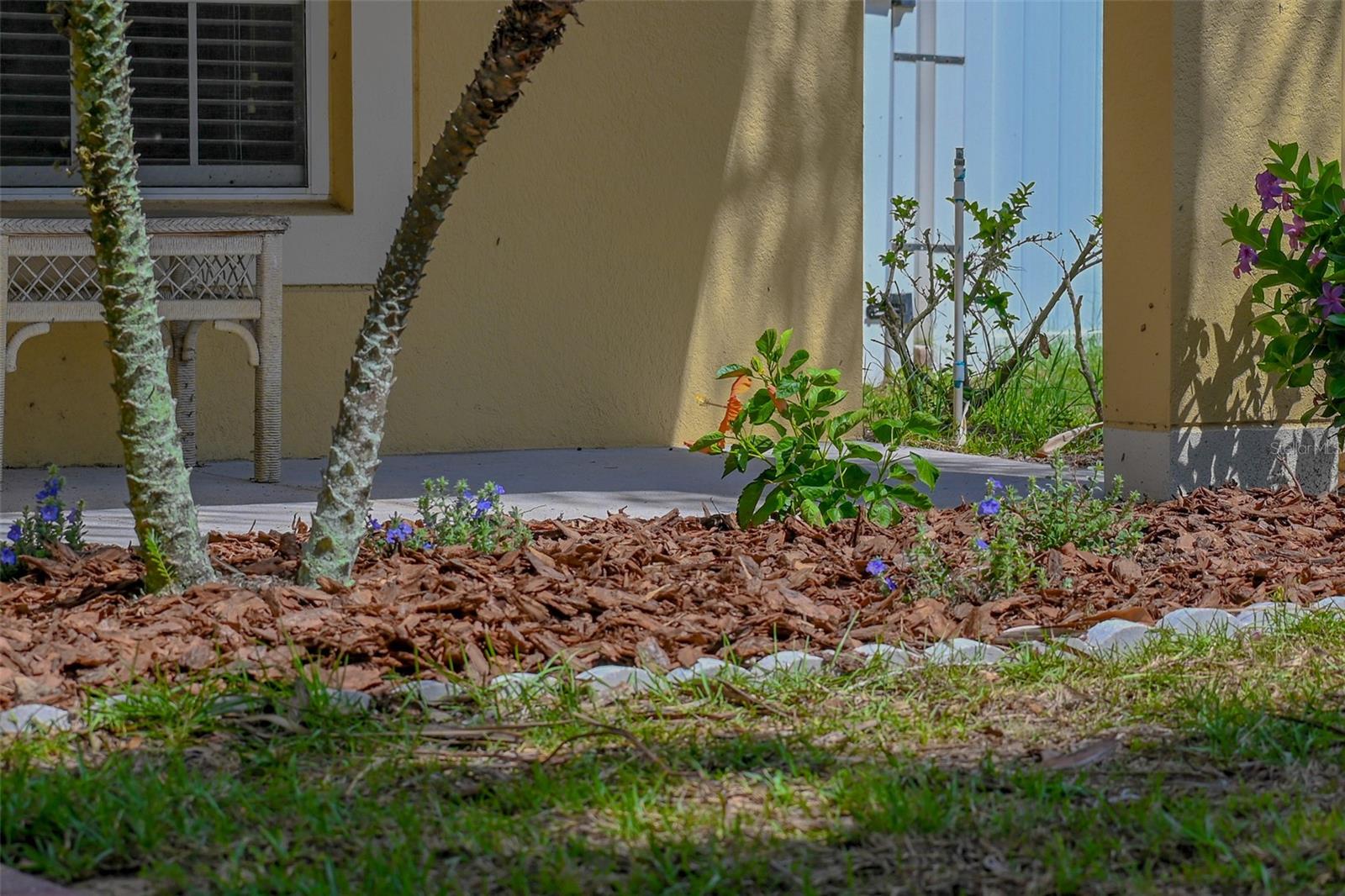 2019 HONEYBELL AVE, HAINES CITY, FL, 33844
