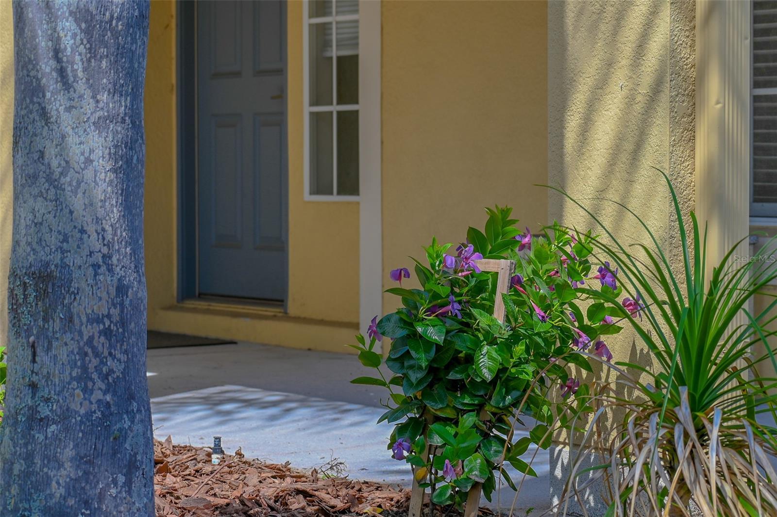 2019 HONEYBELL AVE, HAINES CITY, FL, 33844