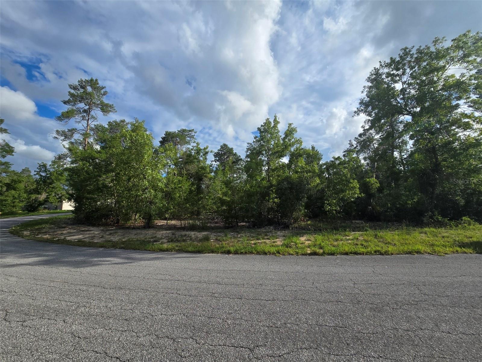 43 MATRICARIA CT, HOMOSASSA, FL, 34446