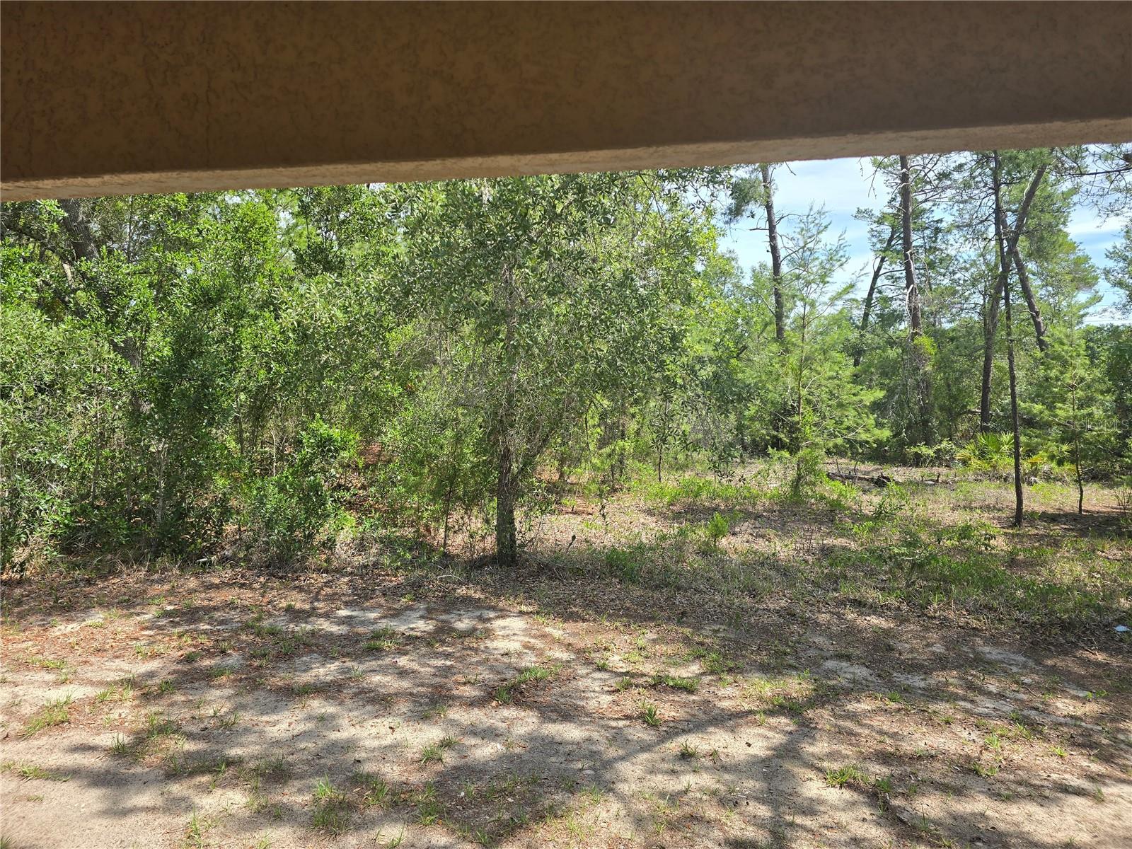 43 MATRICARIA CT, HOMOSASSA, FL, 34446