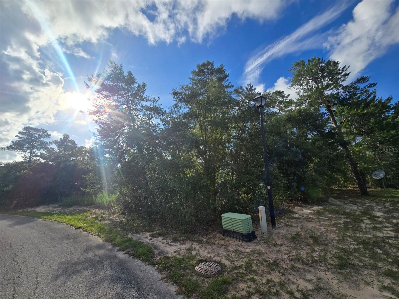 43 MATRICARIA CT, HOMOSASSA, FL, 34446