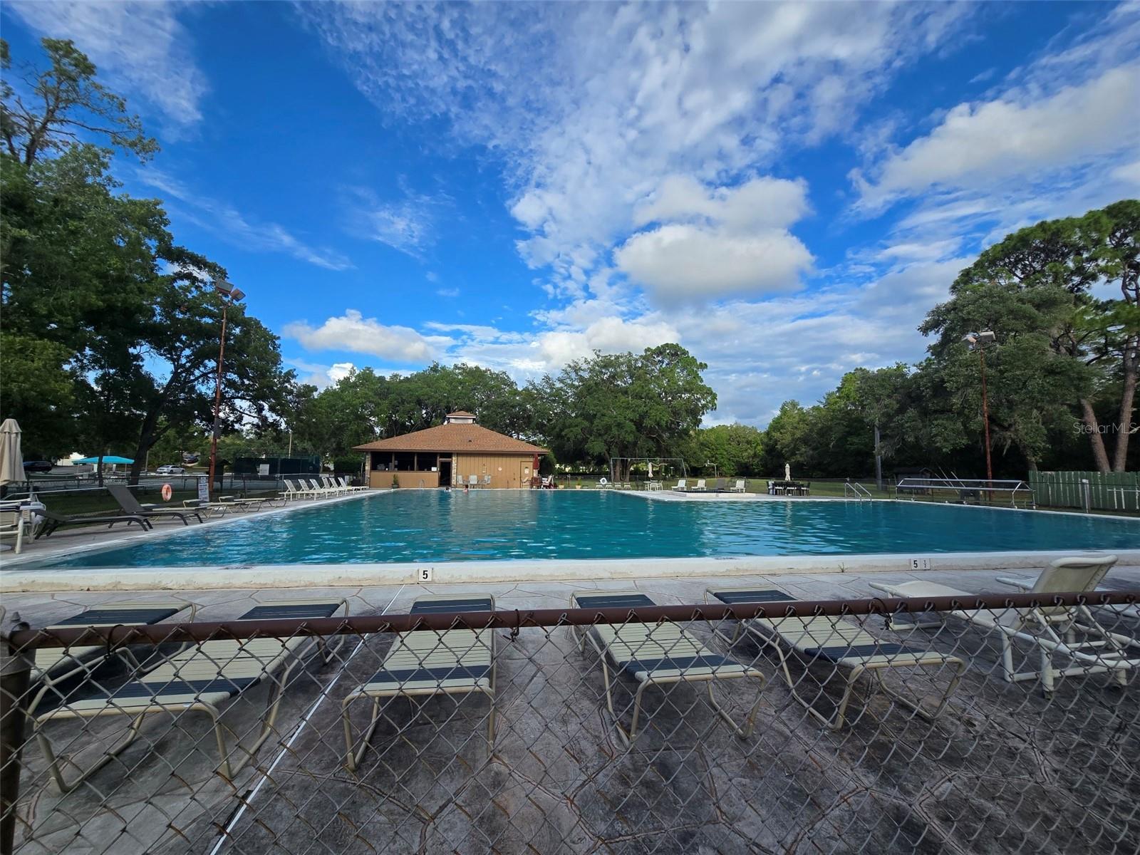 43 MATRICARIA CT, HOMOSASSA, FL, 34446