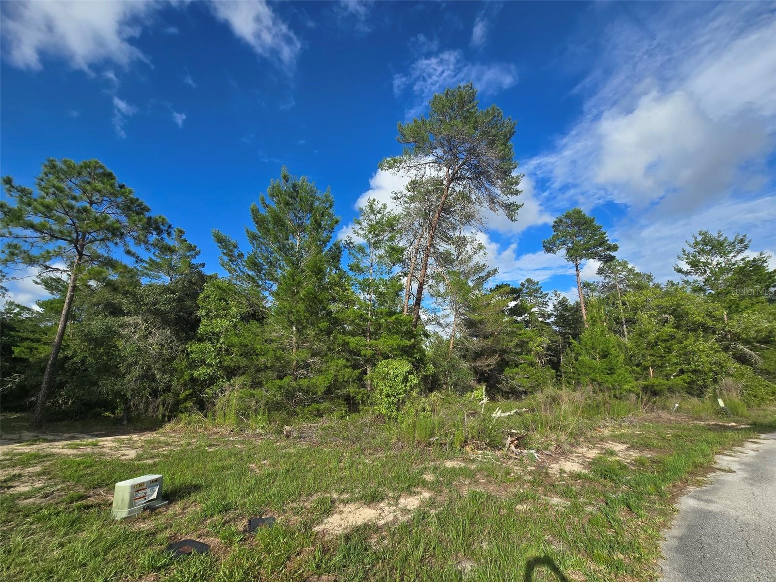 43 MATRICARIA CT, HOMOSASSA, FL, 34446