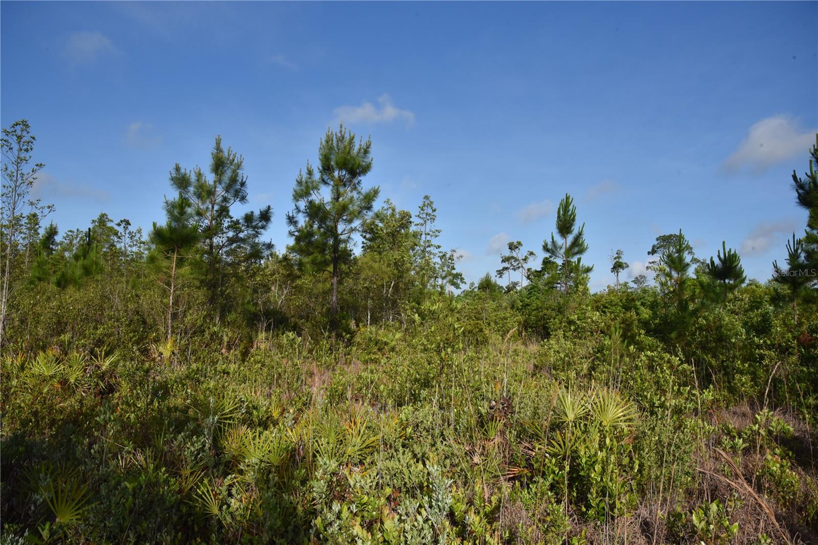 22370 NE 130TH AVE, FORT MC COY, FL, 32134