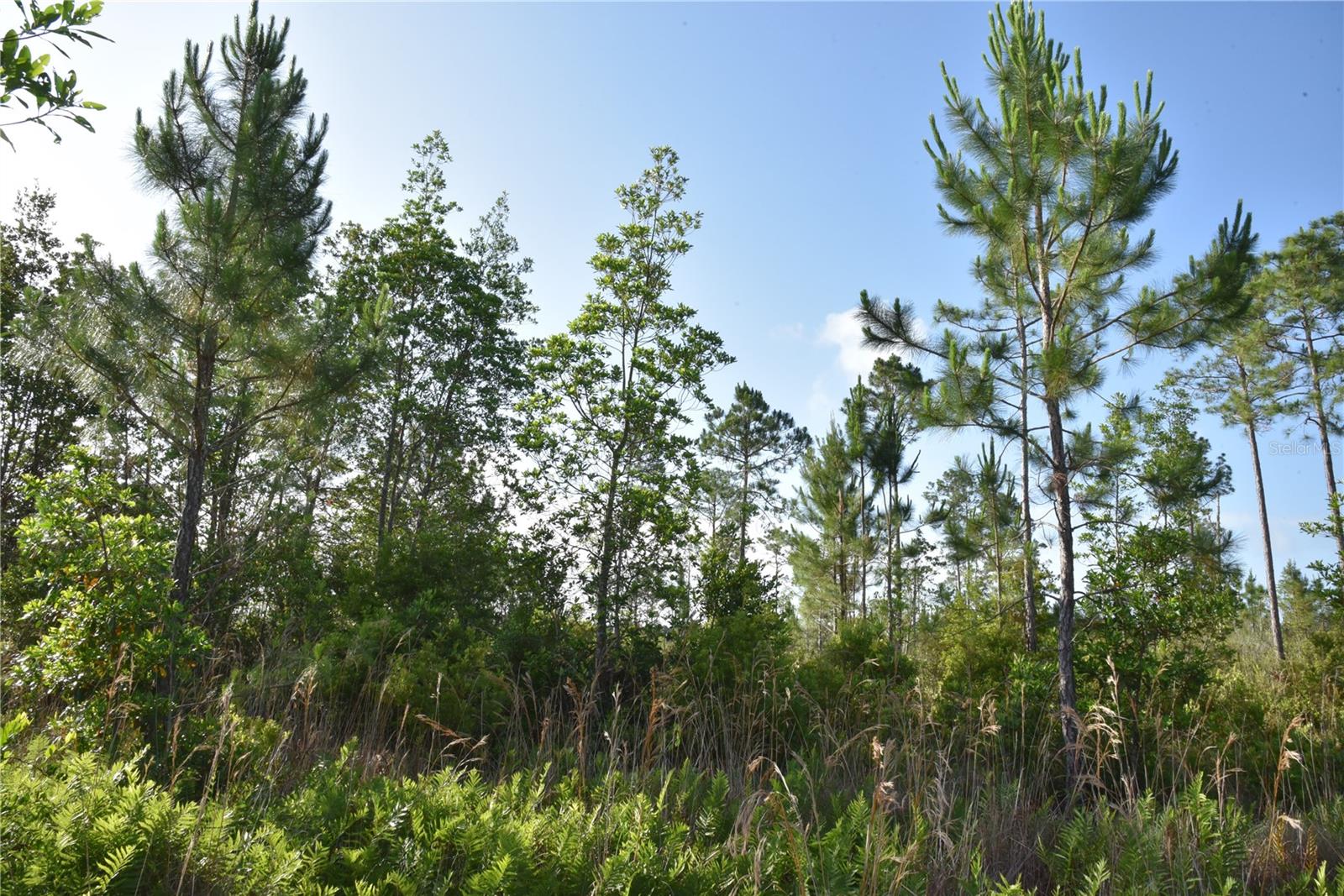22370 NE 130TH AVE, FORT MC COY, FL, 32134