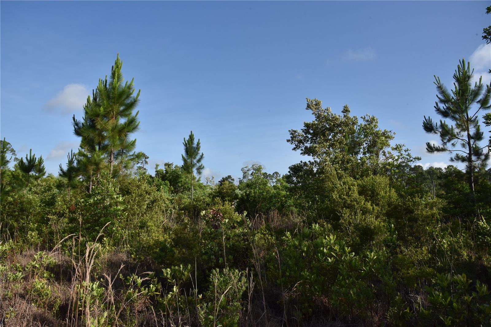 22370 NE 130TH AVE, FORT MC COY, FL, 32134