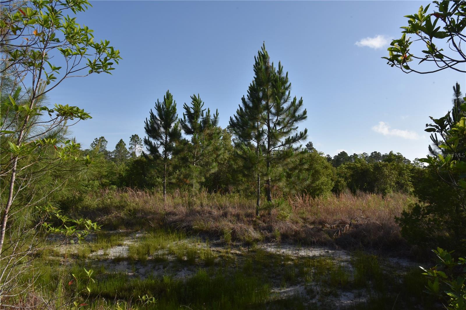 22370 NE 130TH AVE, FORT MC COY, FL, 32134