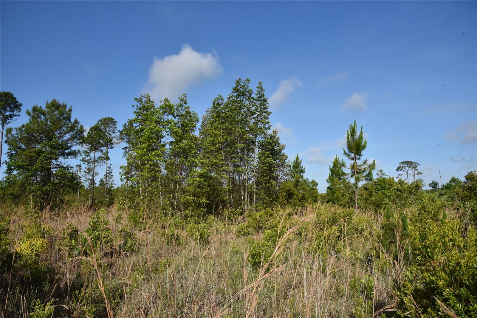 22370 NE 130TH AVE, FORT MC COY, FL, 32134