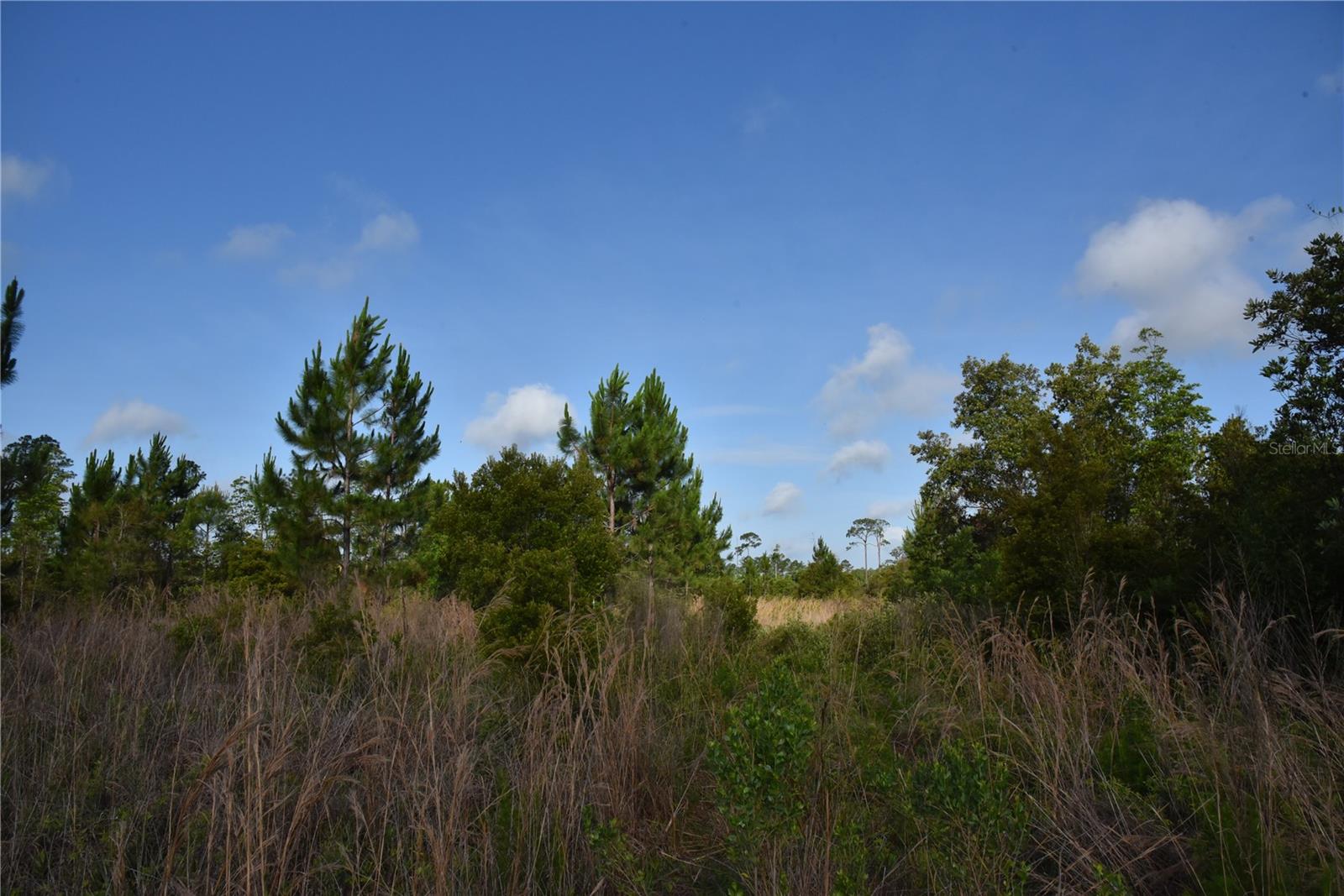 22370 NE 130TH AVE, FORT MC COY, FL, 32134