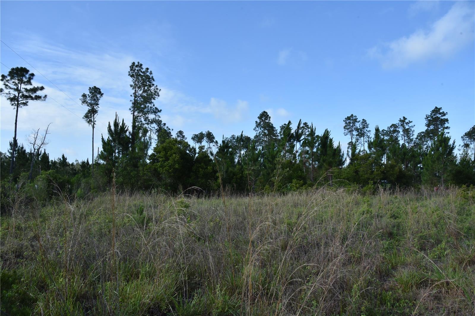 22370 NE 130TH AVE, FORT MC COY, FL, 32134