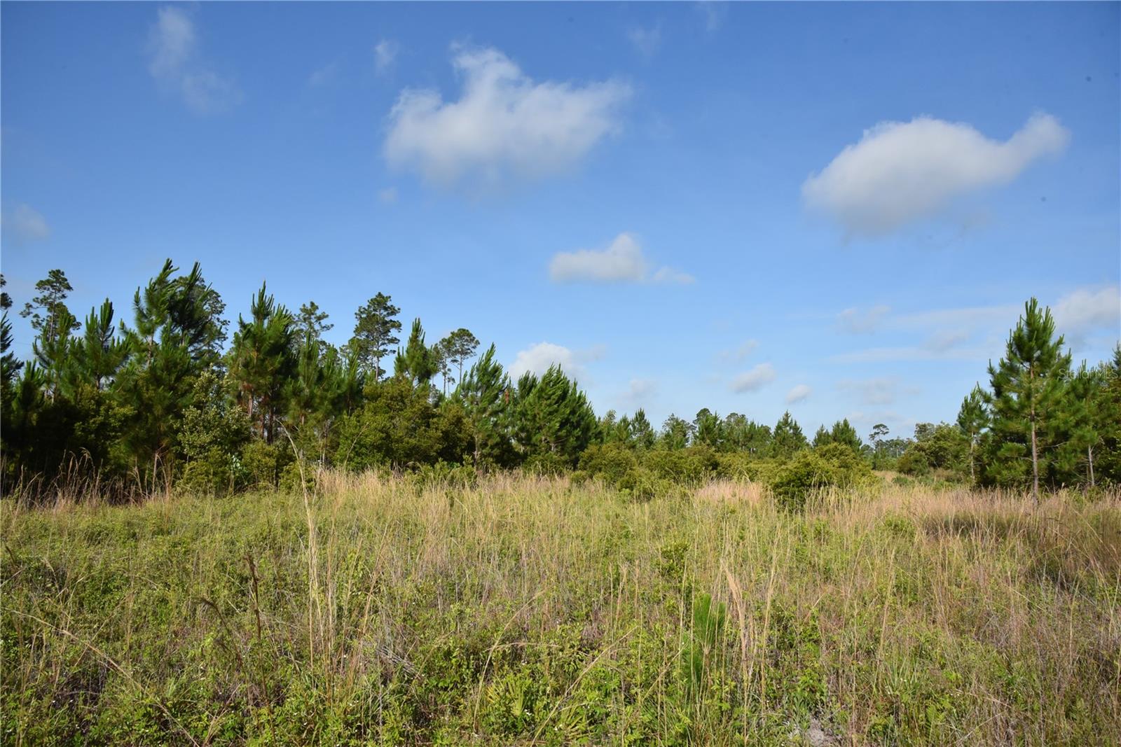 22370 NE 130TH AVE, FORT MC COY, FL, 32134