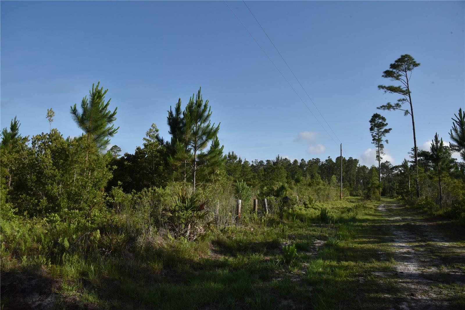 22370 NE 130TH AVE, FORT MC COY, FL, 32134