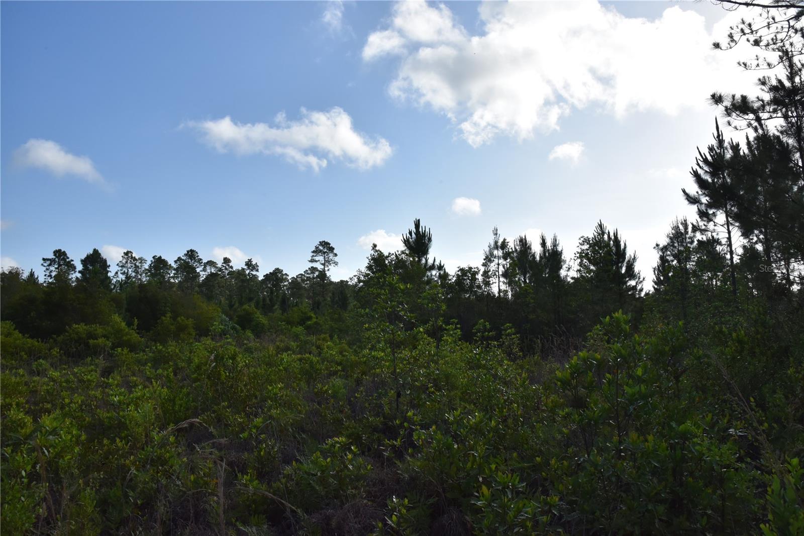 22370 NE 130TH AVE, FORT MC COY, FL, 32134