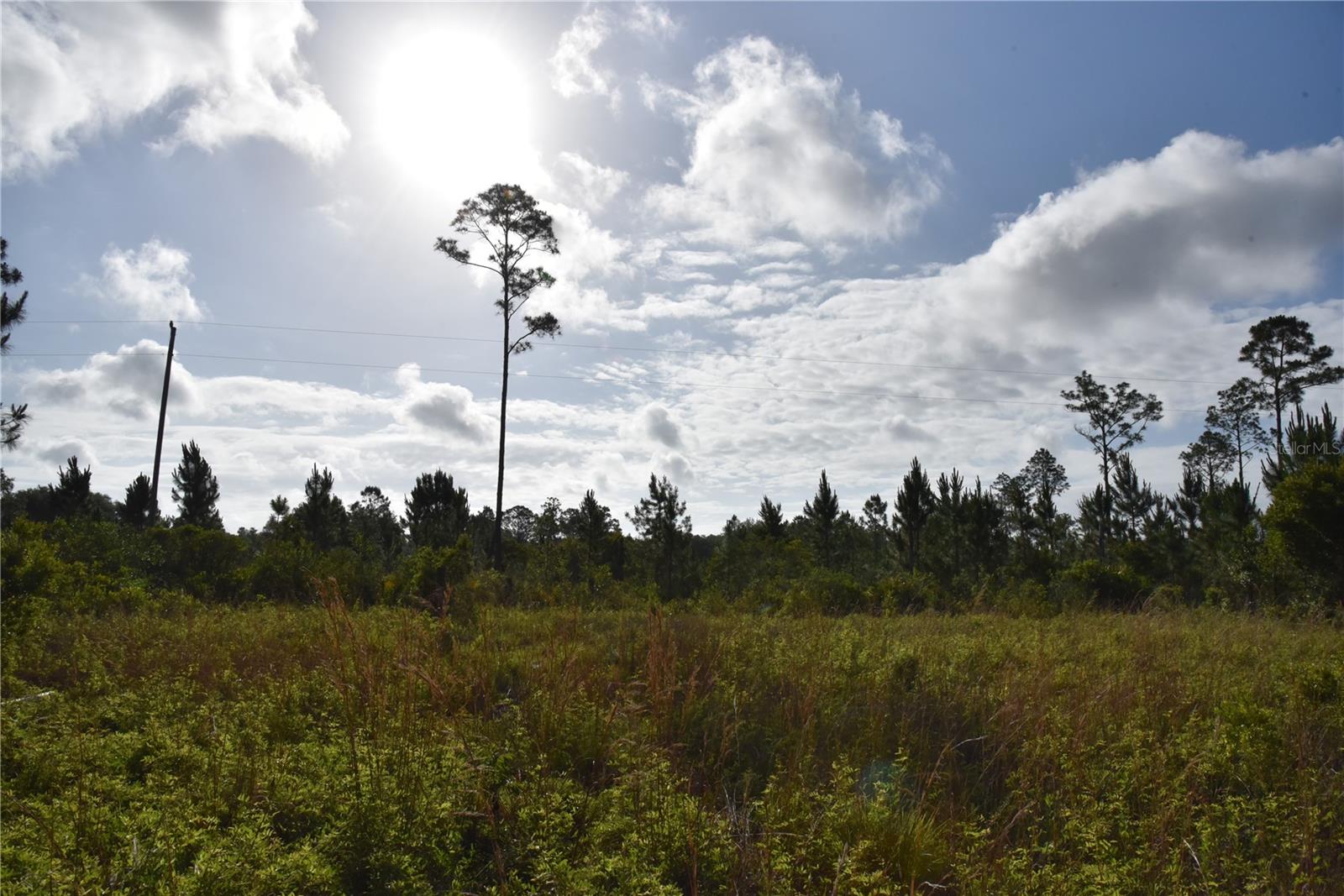 22370 NE 130TH AVE, FORT MC COY, FL, 32134