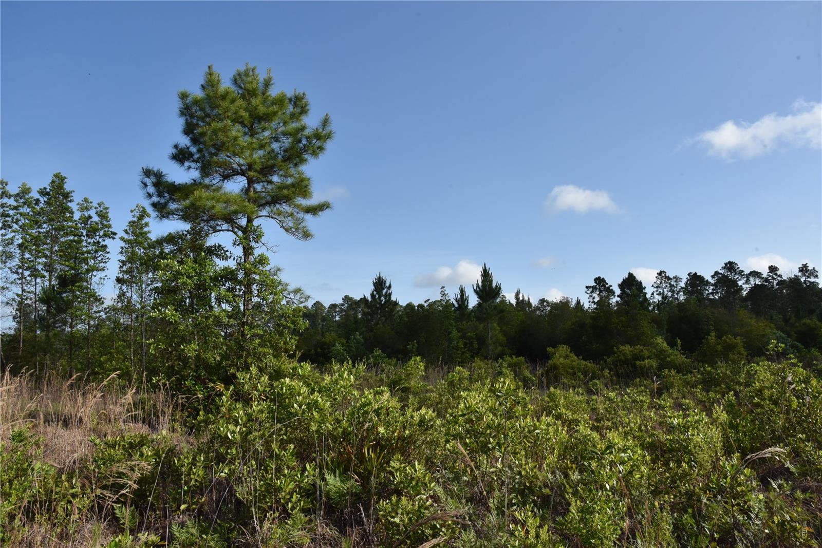 22370 NE 130TH AVE, FORT MC COY, FL, 32134