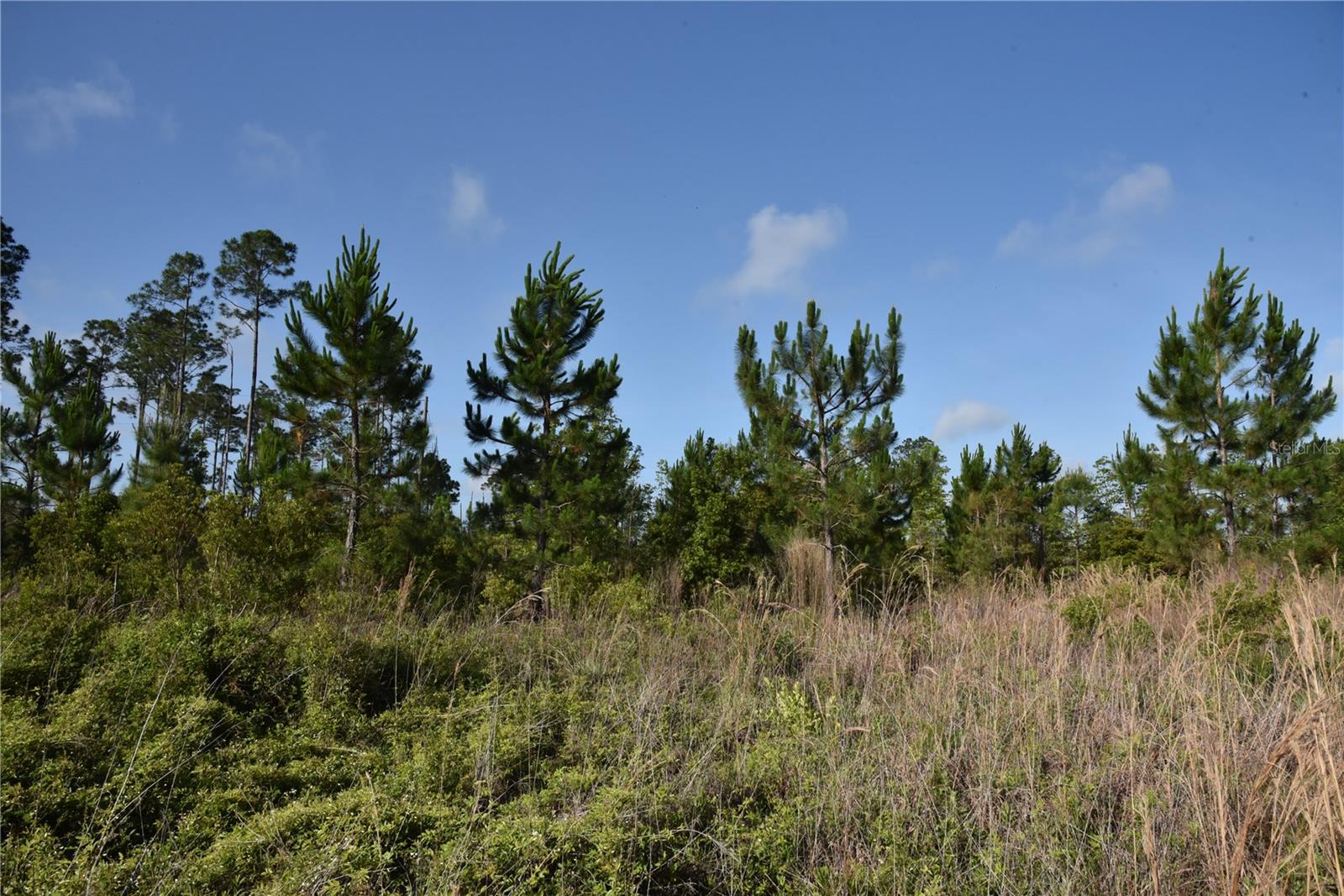 22370 NE 130TH AVE, FORT MC COY, FL, 32134