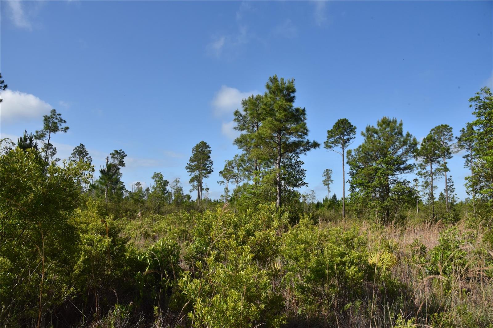 22370 NE 130TH AVE, FORT MC COY, FL, 32134