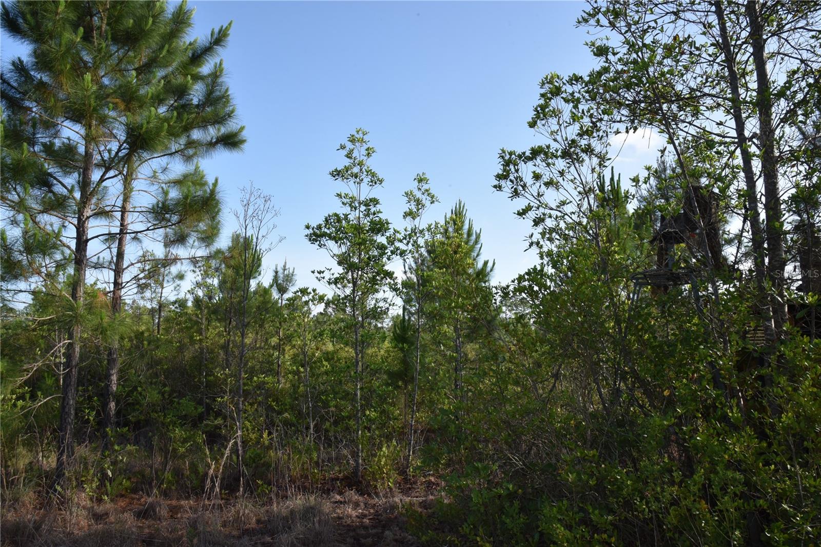 22370 NE 130TH AVE, FORT MC COY, FL, 32134