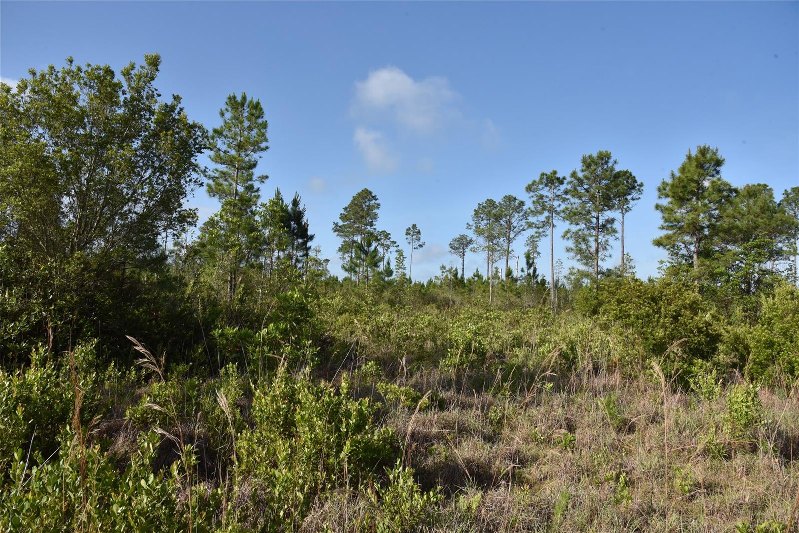 22370 NE 130TH AVE, FORT MC COY, FL, 32134