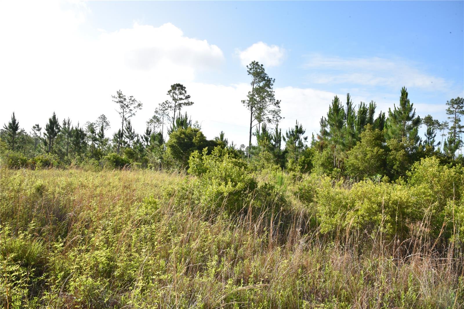 22370 NE 130TH AVE, FORT MC COY, FL, 32134