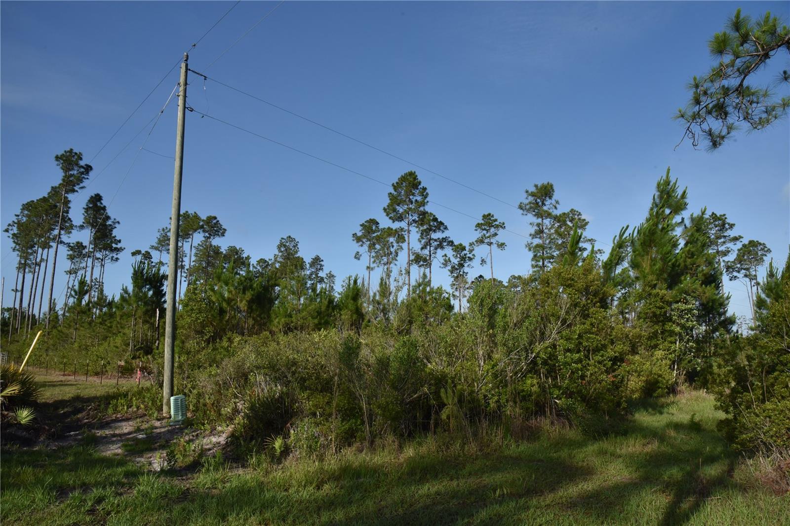 22370 NE 130TH AVE, FORT MC COY, FL, 32134