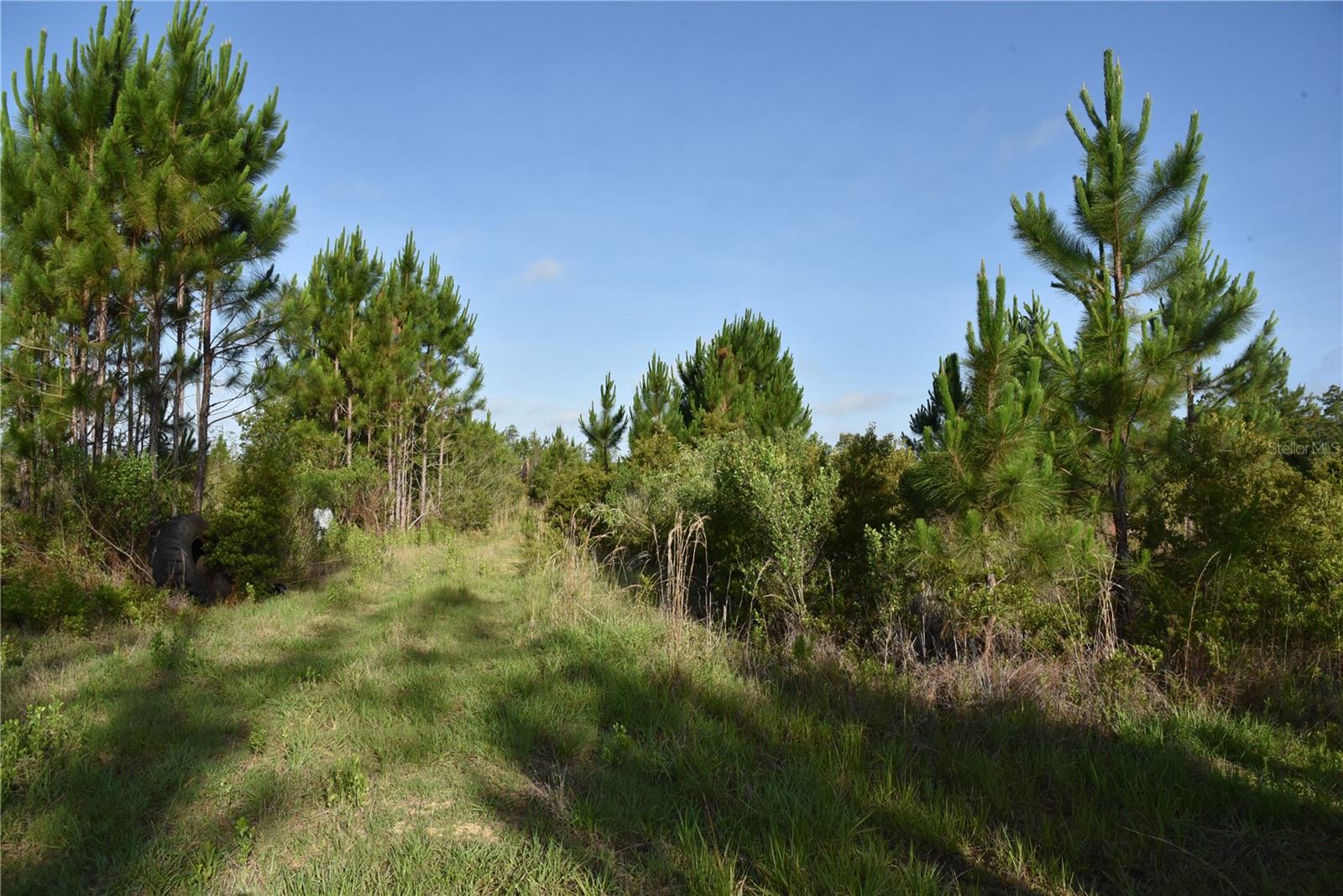 22370 NE 130TH AVE, FORT MC COY, FL, 32134