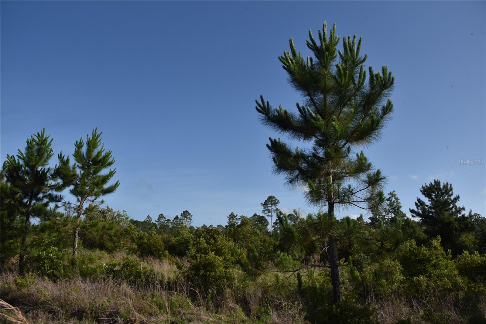 22370 NE 130TH AVE, FORT MC COY, FL, 32134