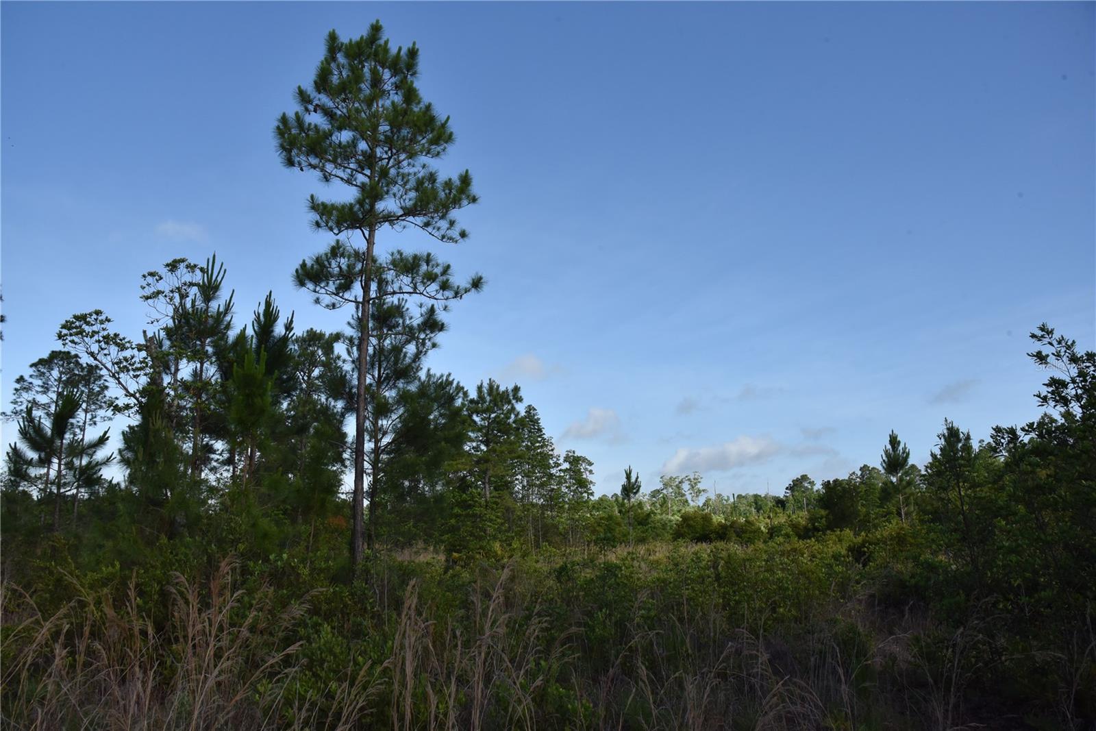 22370 NE 130TH AVE, FORT MC COY, FL, 32134