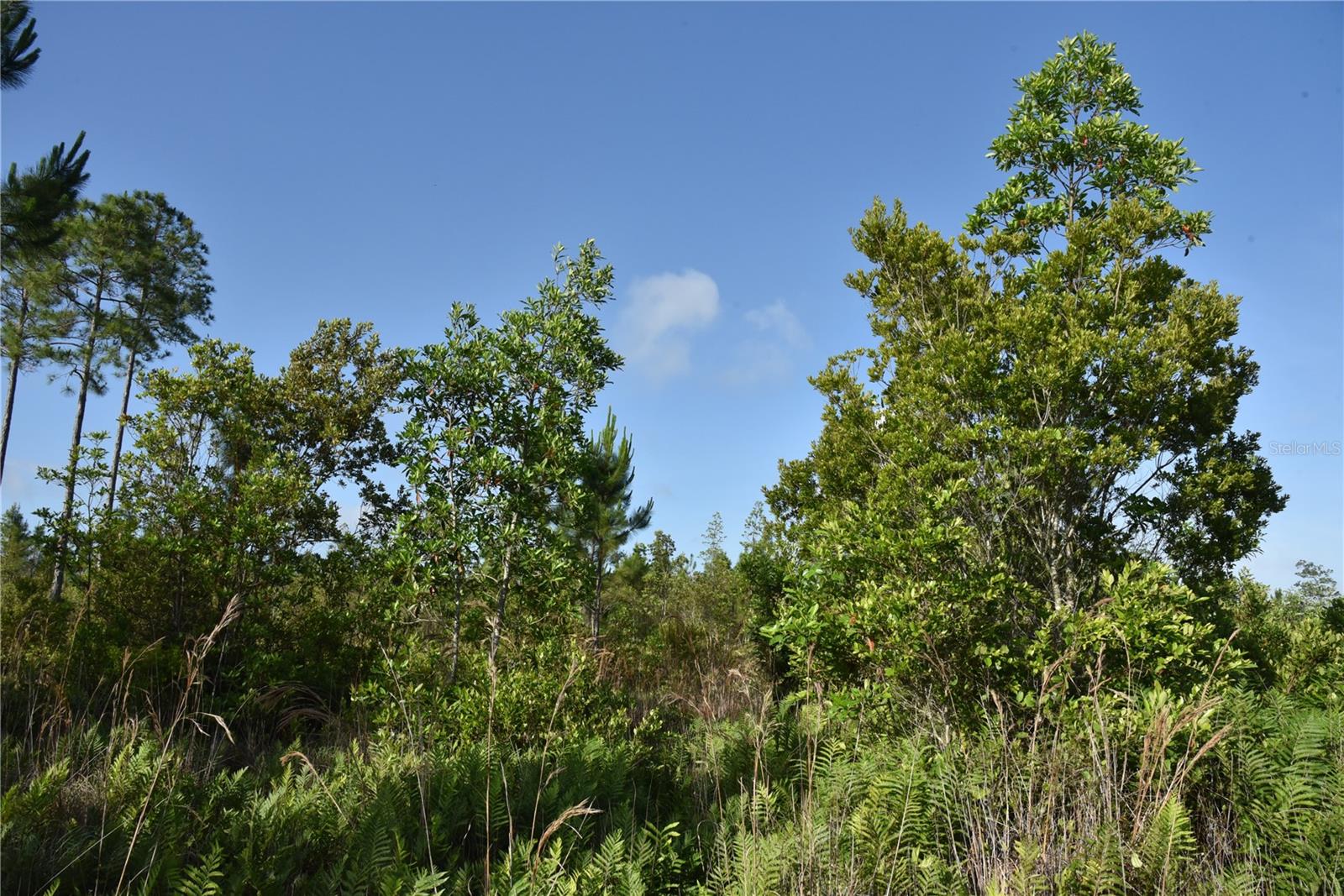 22370 NE 130TH AVE, FORT MC COY, FL, 32134