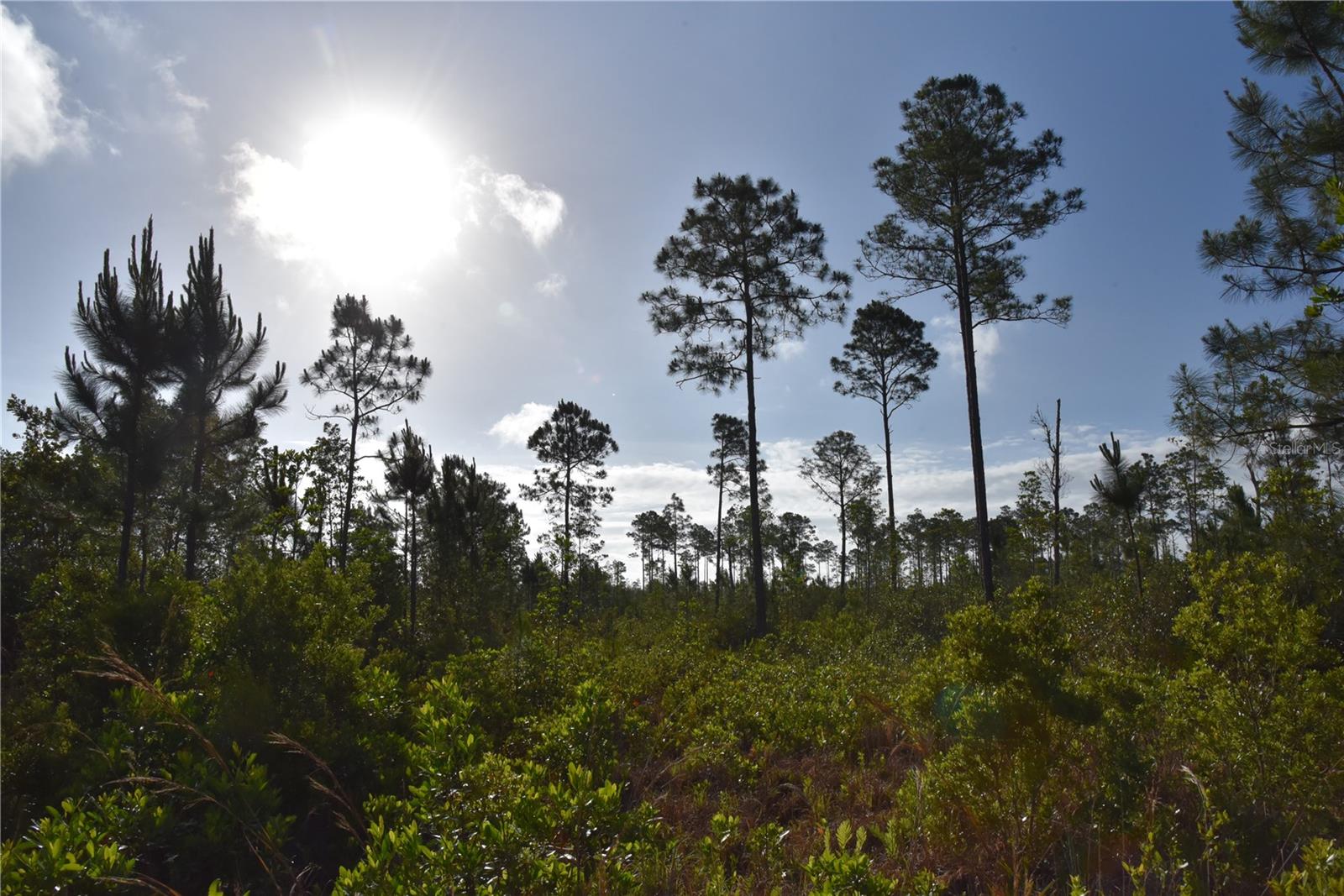 22370 NE 130TH AVE, FORT MC COY, FL, 32134