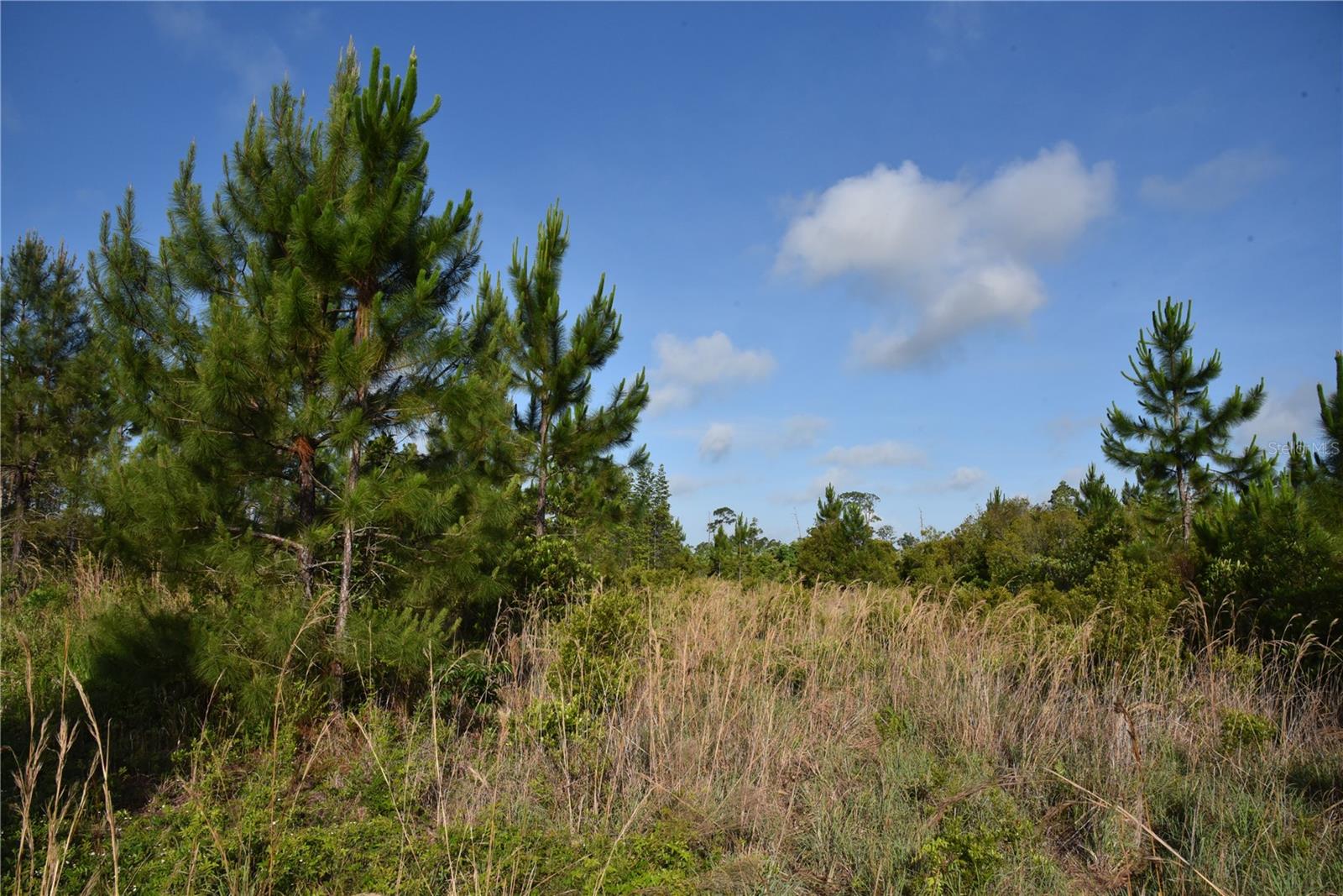 22370 NE 130TH AVE, FORT MC COY, FL, 32134