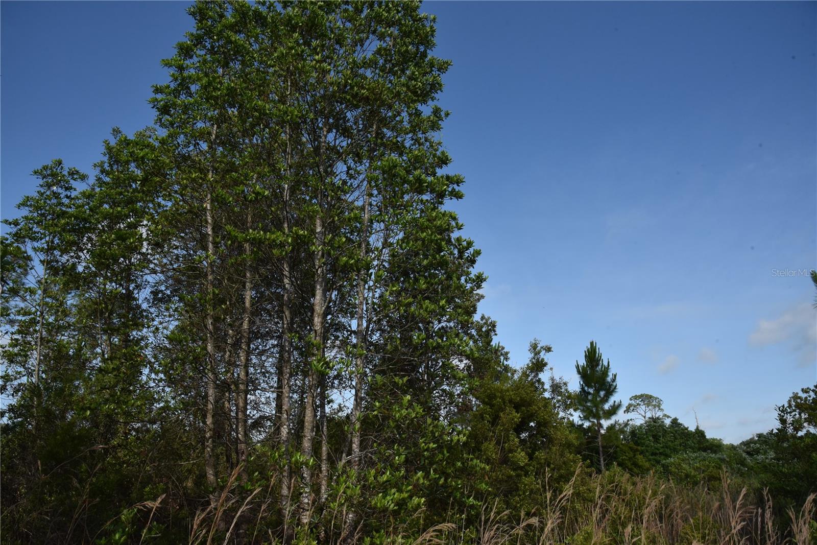 22370 NE 130TH AVE, FORT MC COY, FL, 32134