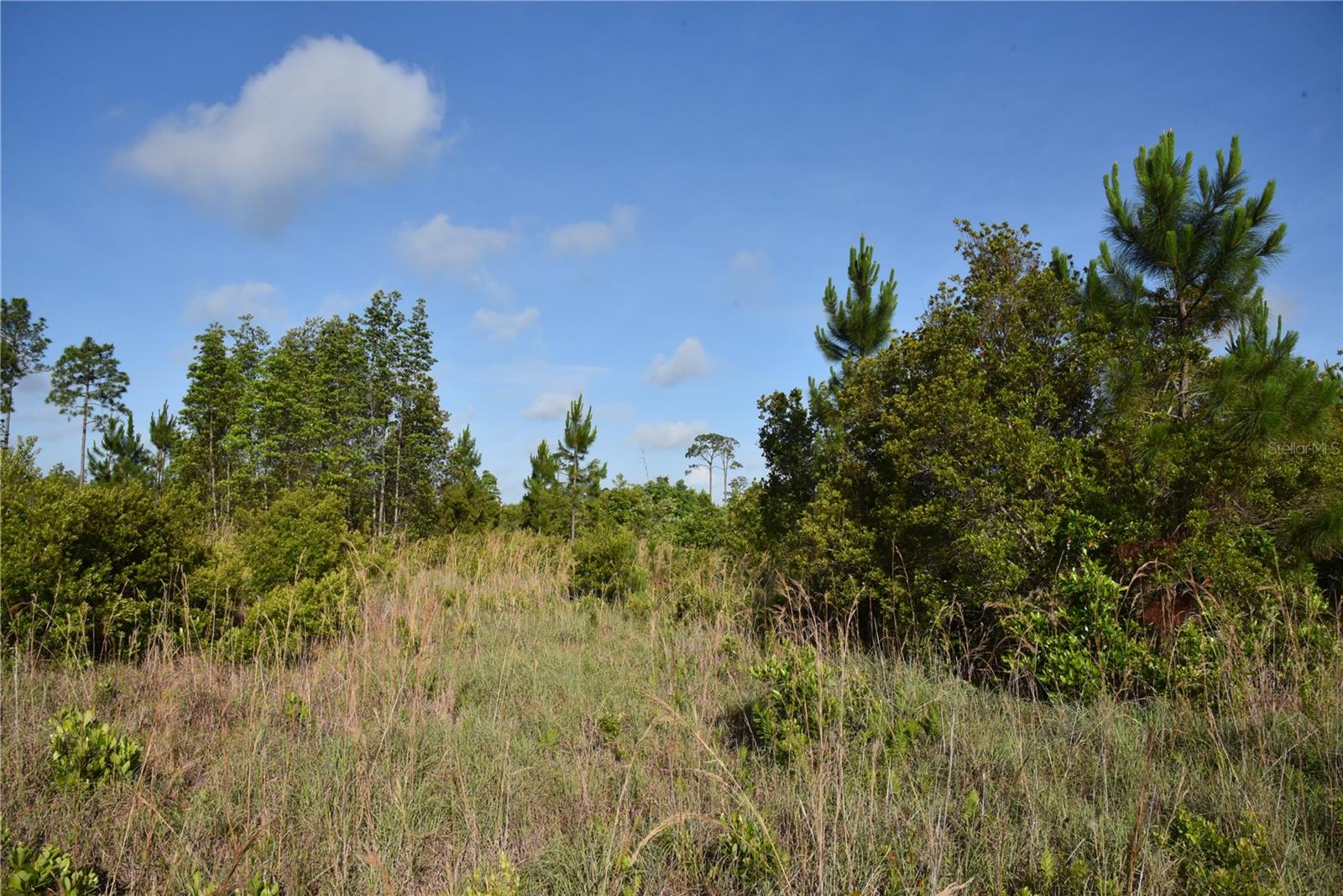 22370 NE 130TH AVE, FORT MC COY, FL, 32134