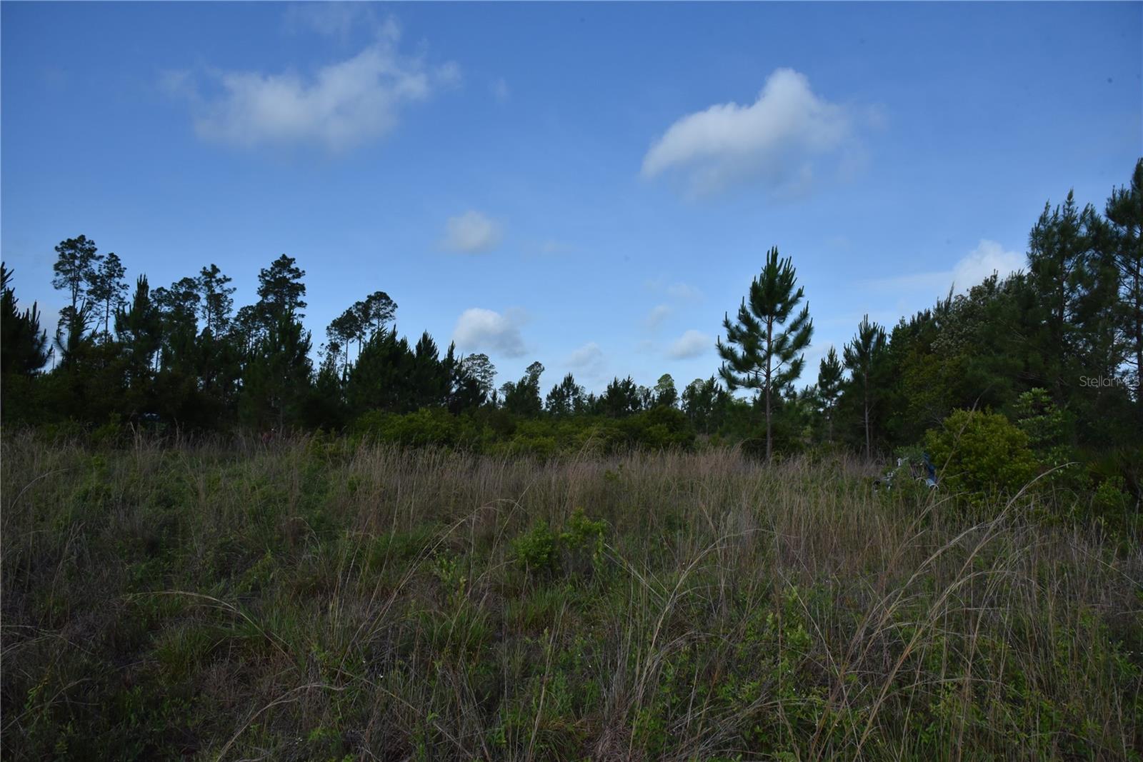 22370 NE 130TH AVE, FORT MC COY, FL, 32134