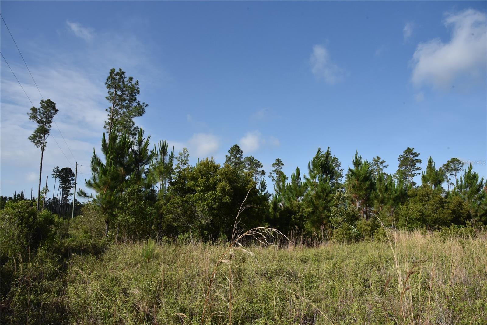 22370 NE 130TH AVE, FORT MC COY, FL, 32134