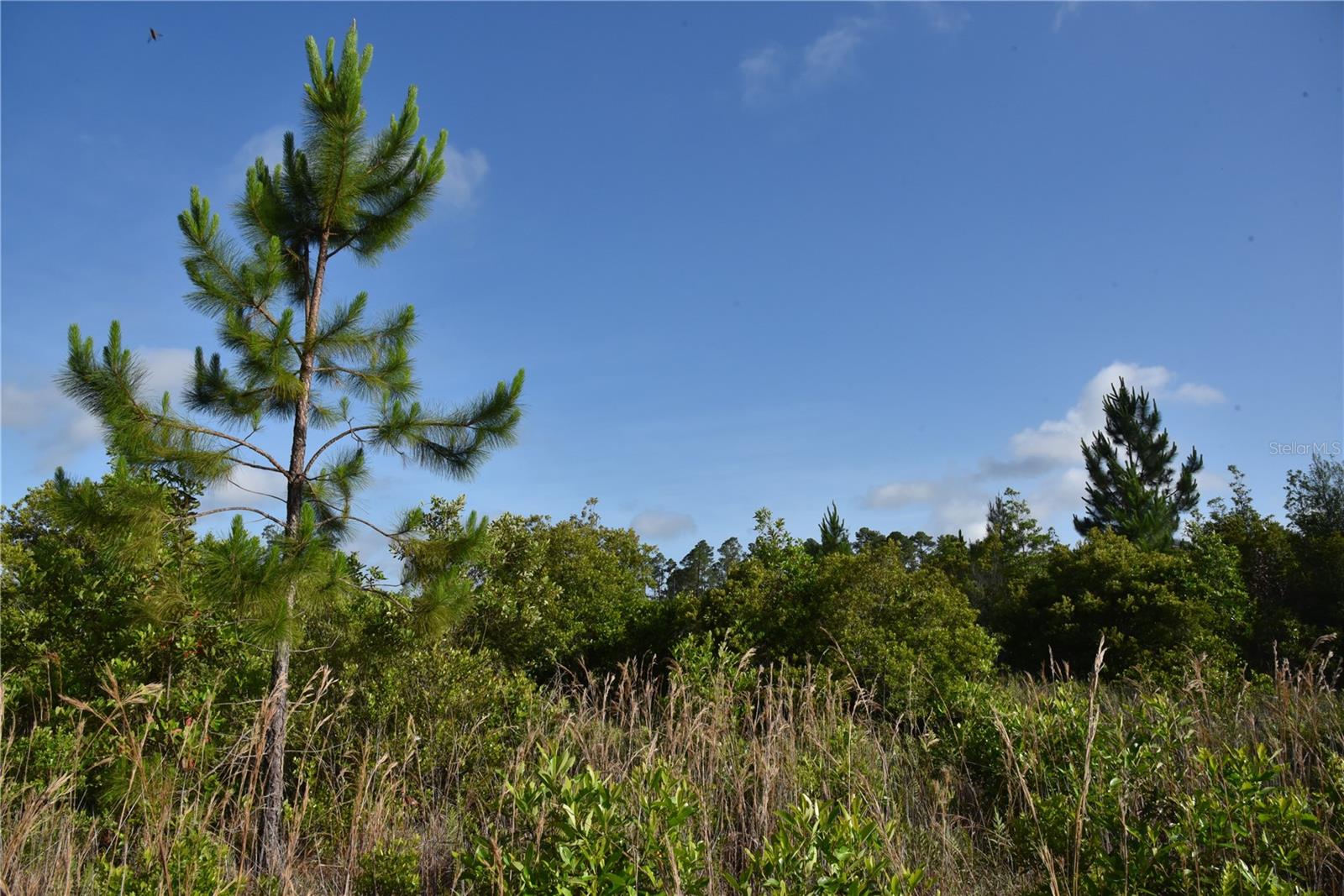 22370 NE 130TH AVE, FORT MC COY, FL, 32134