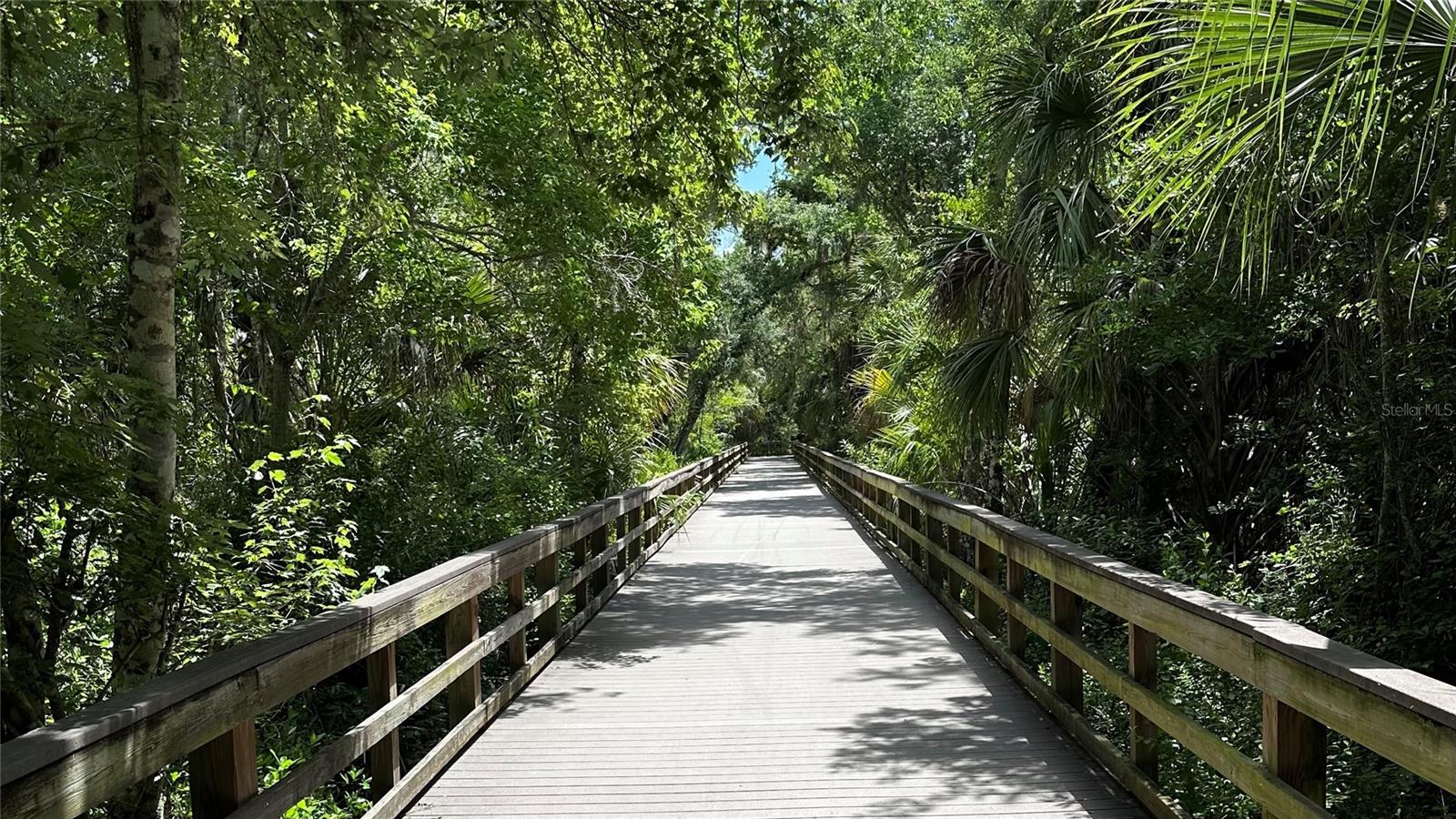 706 SWEETBRIAR DR, OLDSMAR, FL, 34677