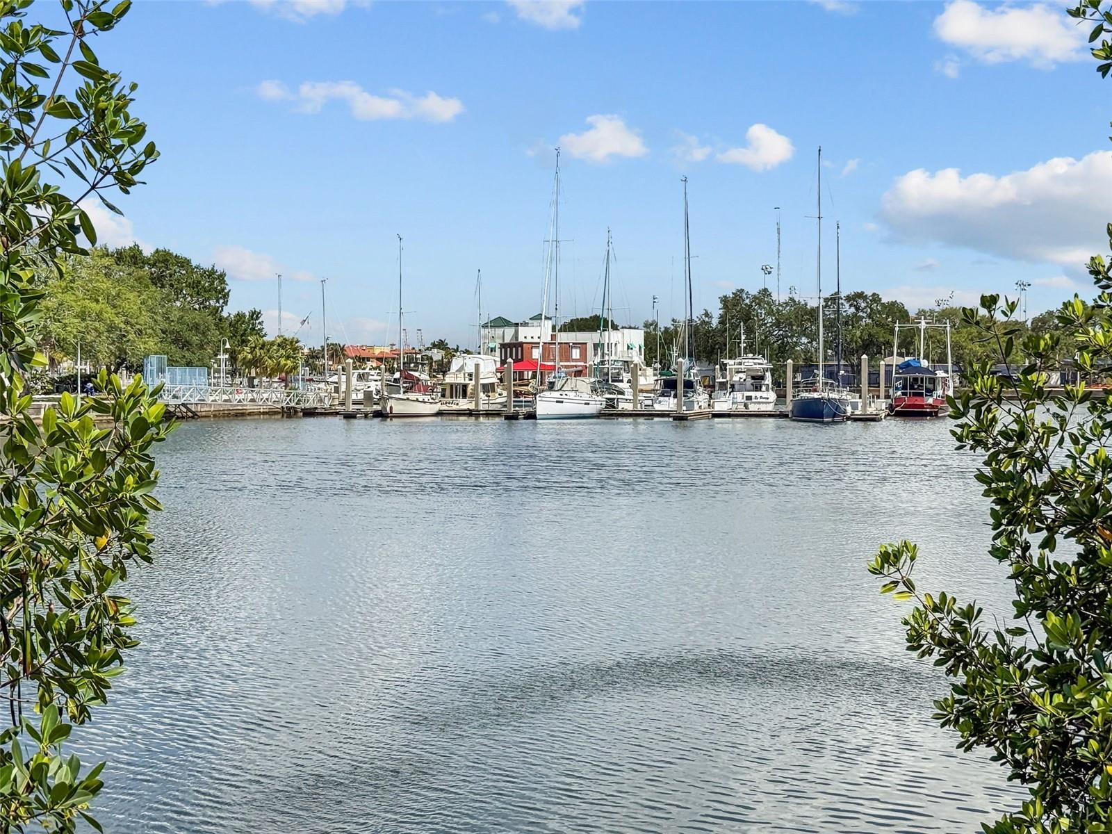 91 DAVIS BLVD #204, TAMPA, FL, 33606