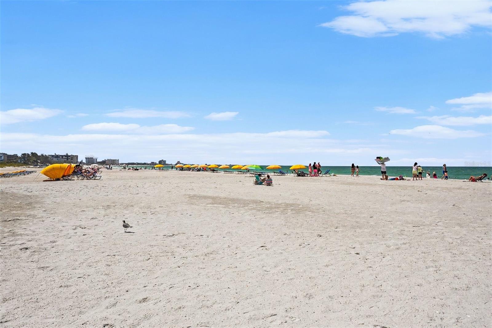 7050 SUNSET WAY #11, ST PETE BEACH, FL, 33706