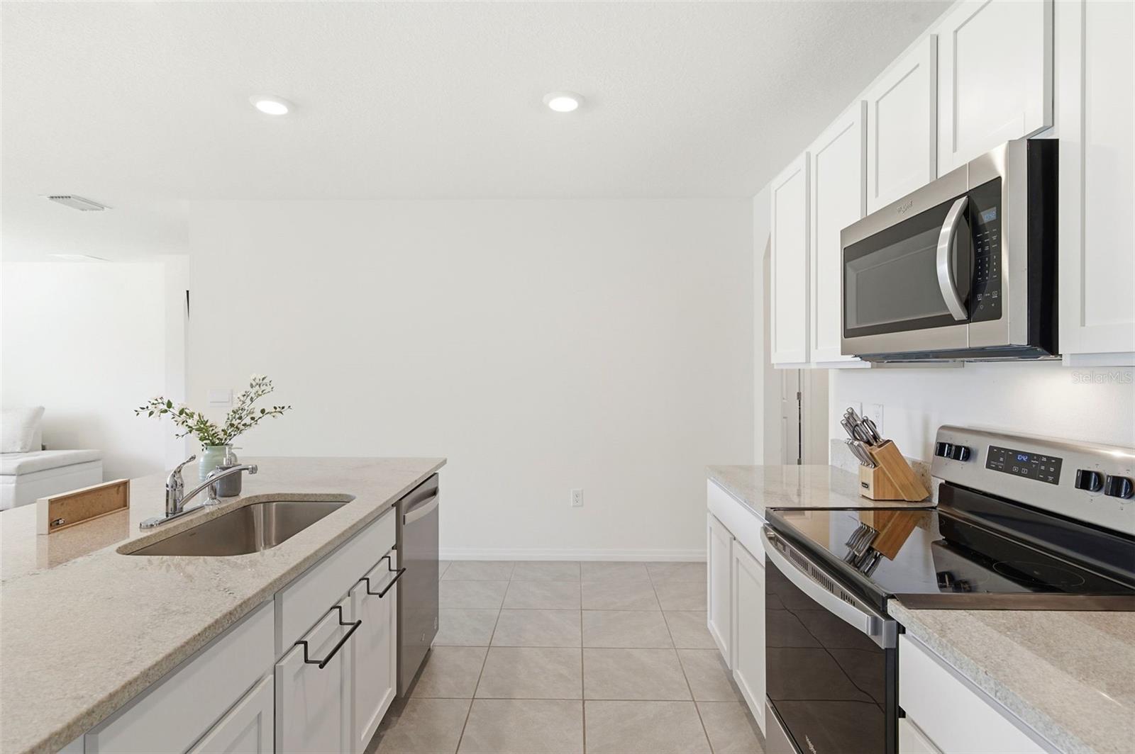 9014 FORGE BREEZE LOOP, WESLEY CHAPEL, FL, 33545