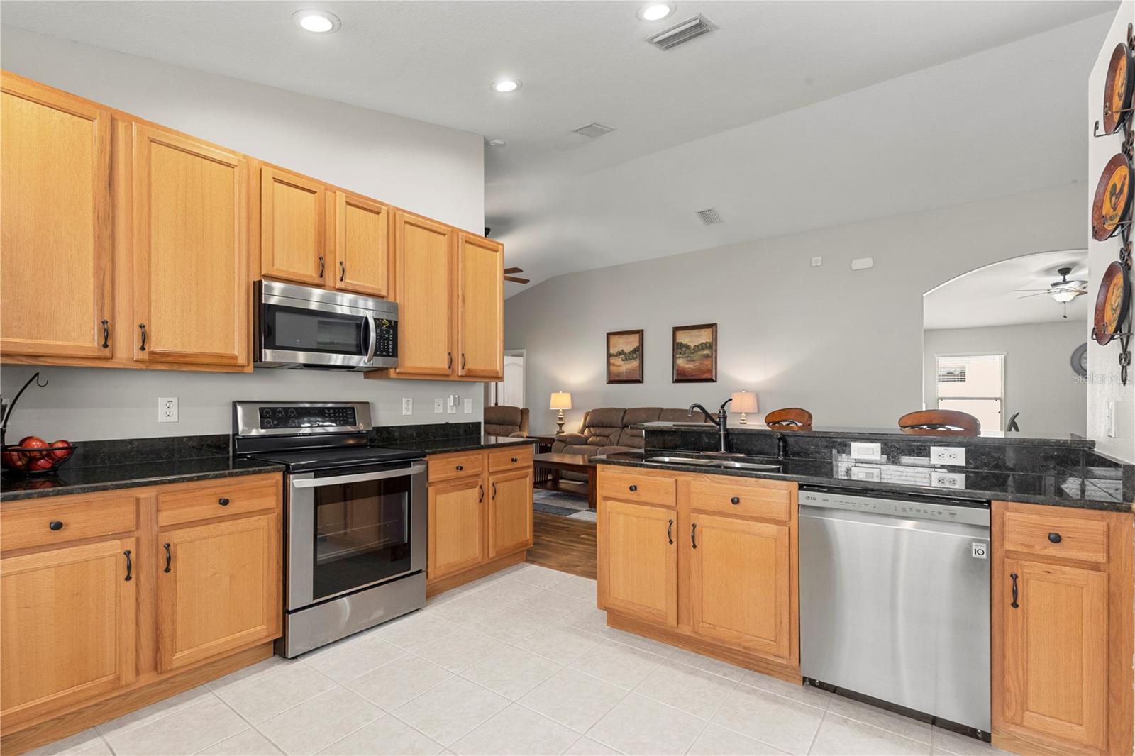 3911 LANGDRUM DR, WESLEY CHAPEL, FL, 33543