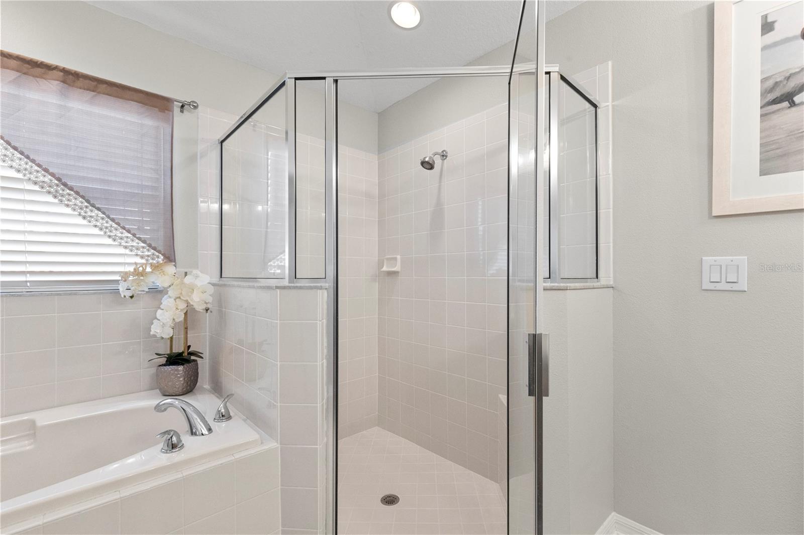 3911 LANGDRUM DR, WESLEY CHAPEL, FL, 33543