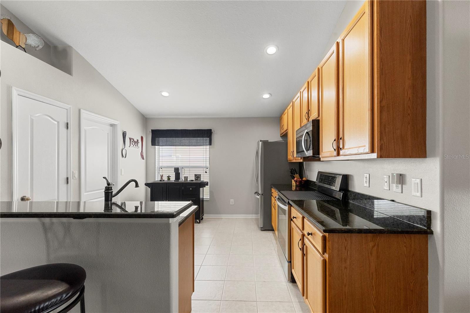 3911 LANGDRUM DR, WESLEY CHAPEL, FL, 33543