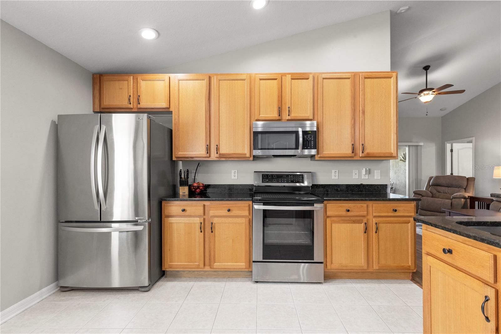 3911 LANGDRUM DR, WESLEY CHAPEL, FL, 33543
