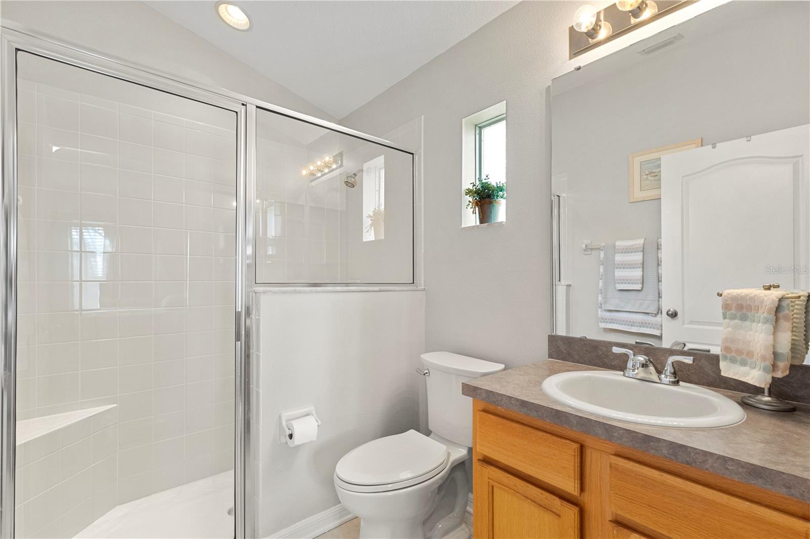 3911 LANGDRUM DR, WESLEY CHAPEL, FL, 33543