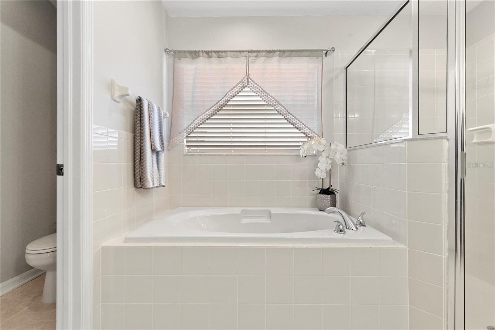 3911 LANGDRUM DR, WESLEY CHAPEL, FL, 33543